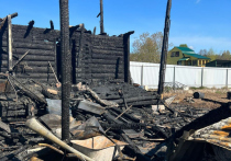6-летняя девочка и ее родители погибли в ночь на 18 мая при пожаре в жилом доме в деревне Никольское городского округа Истра
