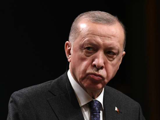 Эрдоган решает проблему будущего президентства за счет Финляндии и Швеции