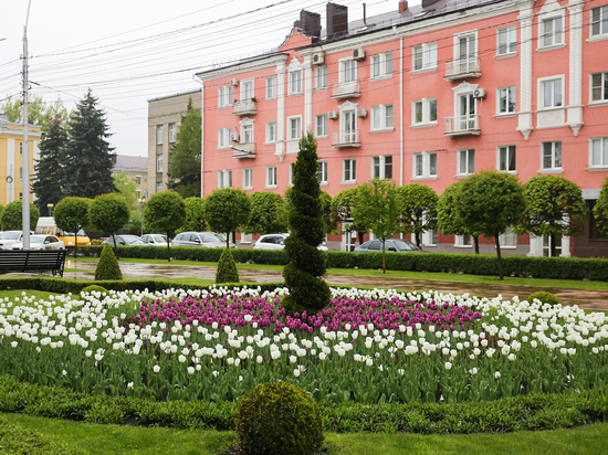Ставрополье привлекло на развитие 177 млрд рублей за год