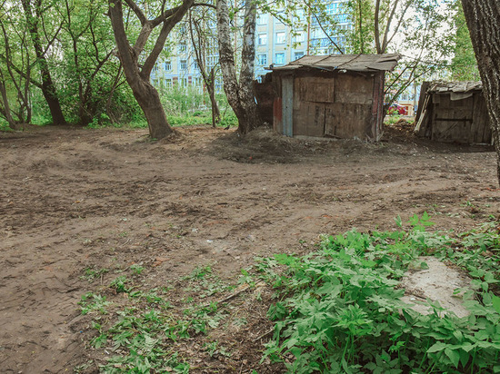 В Смоленске на Энгельса в авральном порядке ликвидировали свалку