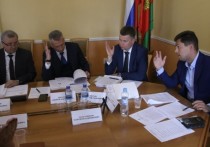 Правовой комитет регионального Совета депутатов рассмотрел изменения в устав Липецкой области