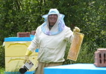 Идею поставить пасеки на крышах Петербурга, которую предложил петербургский депутат Всеволод Беликов, будет непросто реализовать, рассказали «МК в Питере» пчеловоды.