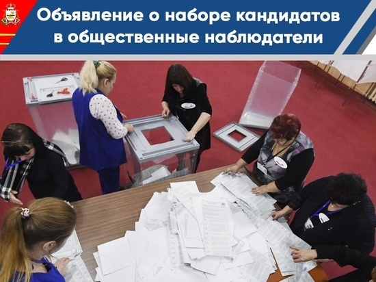 Общественная палата Смоленской области набирает наблюдателей