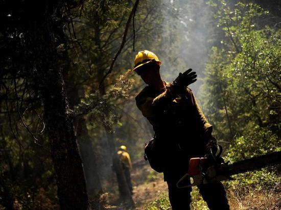 Первый за сезон лесной пожар прошел в республике в майские праздники