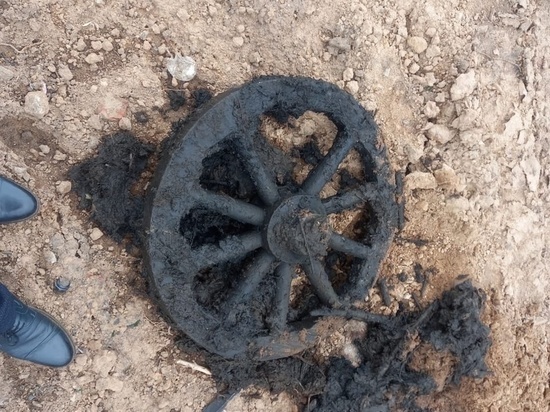 Раритетное колесо от телеги нашли во время субботника в Тихвине