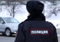 Убийство и самоубийство произошло на рассвете в четверг в Дмитровском районе Московской области, в окрестностях деревни Дьяково