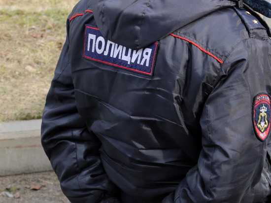 Лжеполицейский «помог» пенсионеру в Сосновом Бору за 80 тысяч рублей