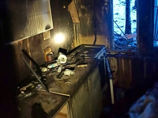 Спасатели вызволили северянина из горящей квартиры в Мурманске на Радищева