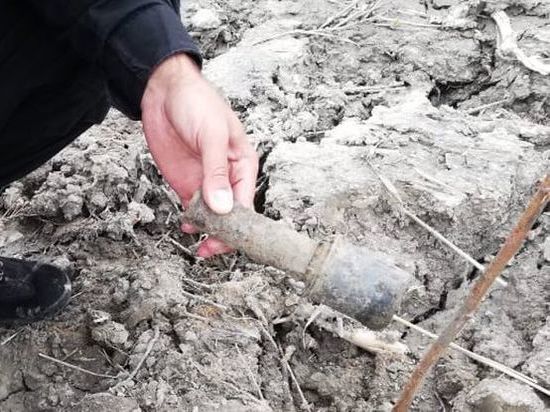 Специалисты нашли 110 боеприпасов в Ленобласти за май 2022 года