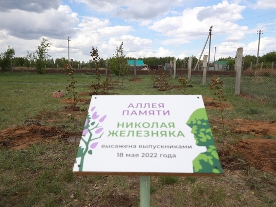 Высадили аллею в честь курганца, погибшего в спецоперации на Украине