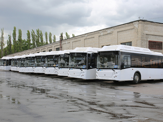 «Воронежпассажиртранс» приобретет в этом году еще 63 новых автобуса