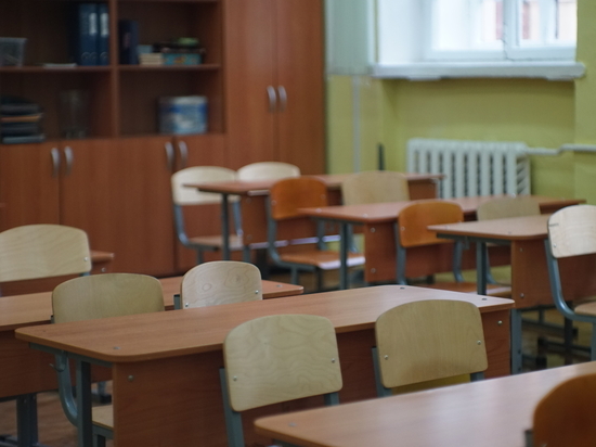 Требовавшая от ученика встать на колени педагог уволилась из школы в Петербурге