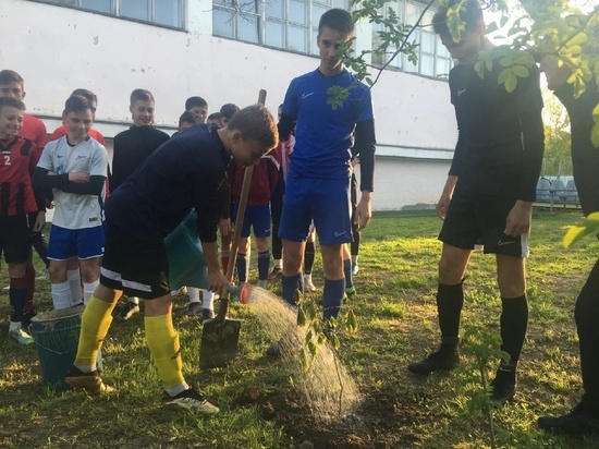 Юные смоленские футболисты перед началом чемпионата посадили деревья