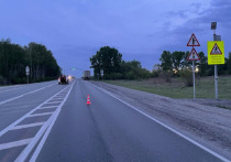 Утром 19 мая в Искитимском районе Новосибирской области грузовик сбил 22-летнего пешехода, сообщили в Госавтоинспекции региона