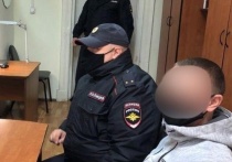 Жителя Петрозаводска признали виновным в нескольких серьезных преступлениях
