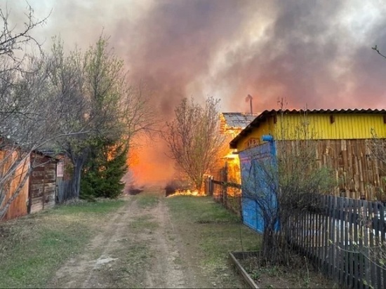 Пожар в садоводстве «Механизатор» в Братском районе начался из-за пала травы