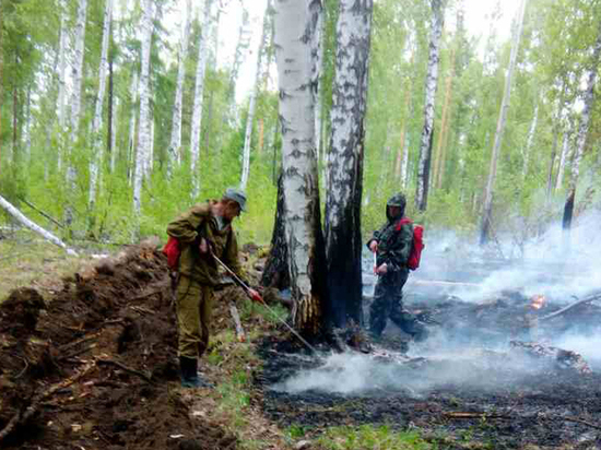 16 лесных пожаров потушили за сутки в Приангарья