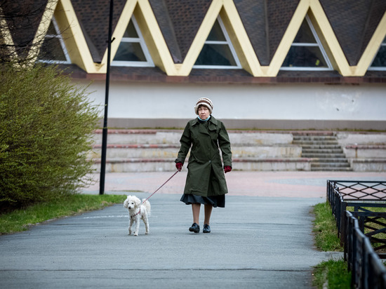 В Челябинске востребованы специалисты по уходу за домашними животными