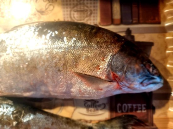«Золотая рыбка!»: сколько стоит первая сима на Сахалине