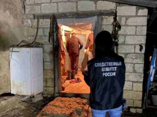 Тройное убийство в Ершовском районе: расстреляв трёх человек, убийца продолжал пить спиртное рядом с трупами