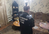 38-летнего жителя Михайловского района обвиняют в убийстве сожительницы, сообщает пресс-служба СУ СКР по краю