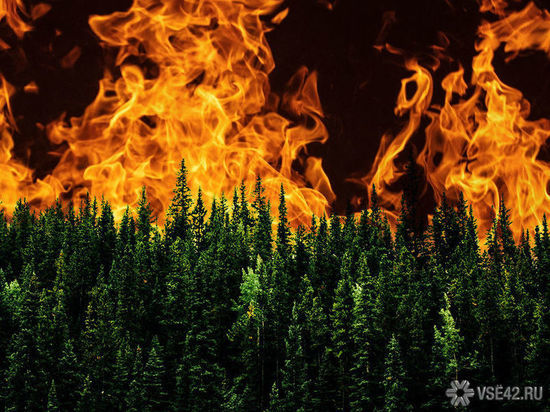 На тушении лесных пожаров в Кузбассе работает авиация Росгвардии