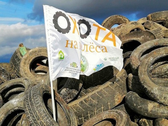 Еще одна «Охота на колеса» пройдет в Вологде в мае