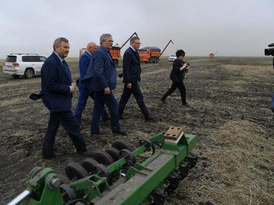 Аграрии Оконешниковского района одни из лидеров по выращиванию зерна