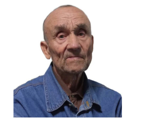 80-летний пенсионер в синей куртке пропал с дачного участка под Новосибирском