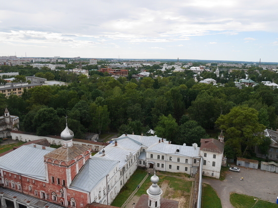 875 деревьев посадили в Вологде за месяц
