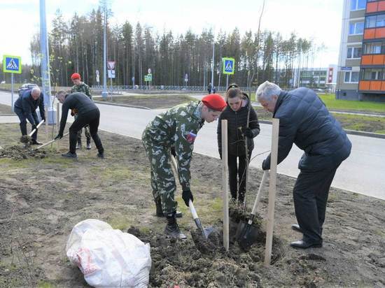 Парфенчиков и Магомедов высадили деревья на улице Защитников Донбасса