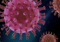 За последнюю неделю скорость распространения коронавирусной инфекции в городе выросла на 34% по сравнению с тем, что было в начале мая, и на 69% по сравнению с апрелем