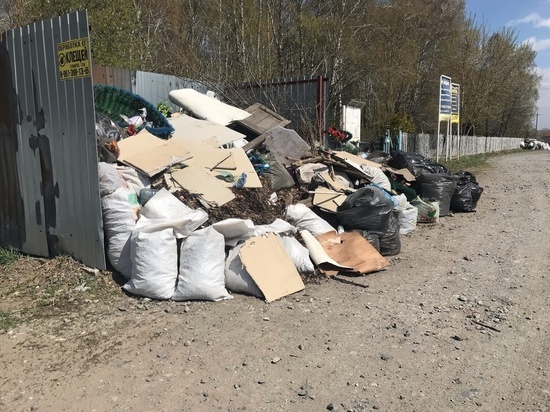 За 10 дней ЖКХ планирует решить проблему с крупногабаритным мусором в Новосибирске