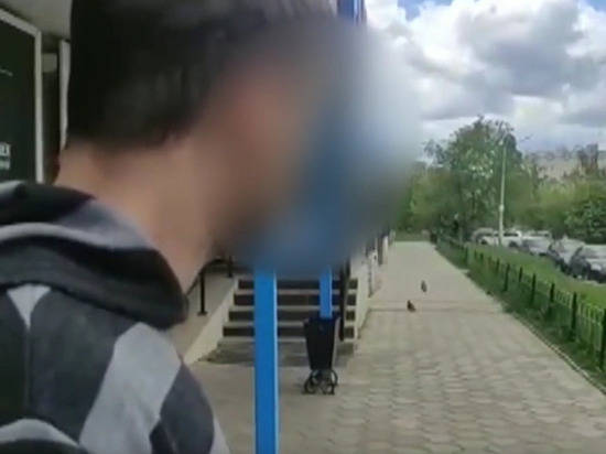 В Воронеже заключен под стражу подозреваемый в насильственных действиях над 12-летней девочкой