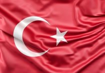 Бывший советник Госдепа Дэвид Филлипс заявил, что США усомнились в надежности Турции из-за разрушения ей трансатлантического единства в попытке насолить России