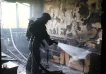 В Барнауле загорелась квартира в пятиэтажке по улице Молодежной, сообщает ГУ МЧС по Алтайскому краю