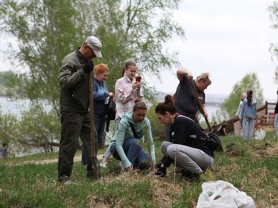 В Иркутске высадили пять тысяч саженцев сосны