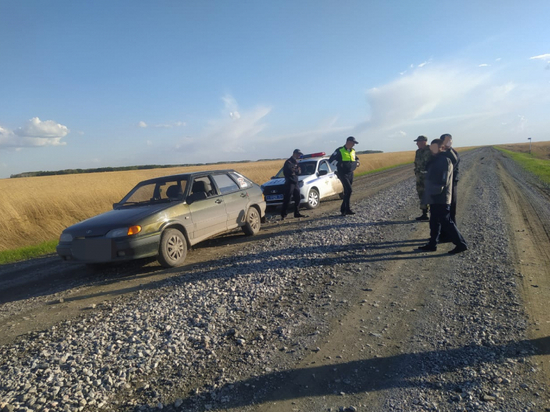 Безработный парень убил трех косуль в Новосибирской области