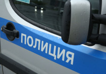 Стрельбу из лифтовой кабины, в которой находился маленький ребенок, устроил 21 мая житель новостройки в деревне Раздоры Одинцовского городского округа