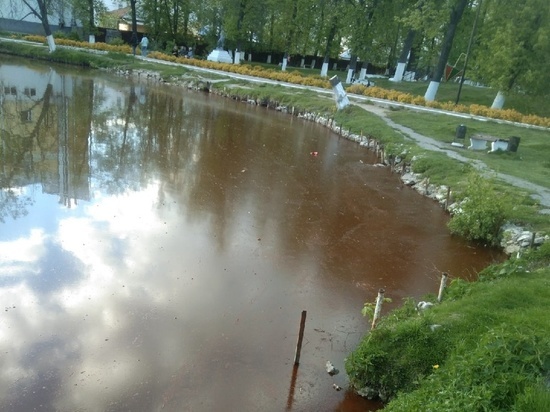 В Касимове Рязанской области вода в пруду поменяла цвет