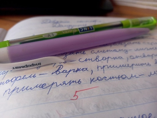 Школы Запорожской области переходят на 5-балльную систему