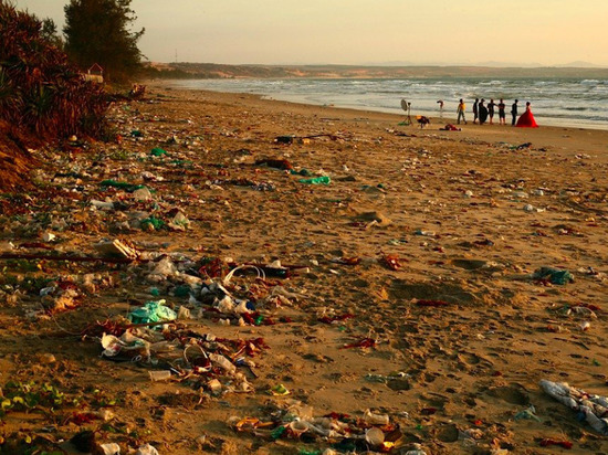 Пляжи Сахалина очистят от мусора к летнему сезону