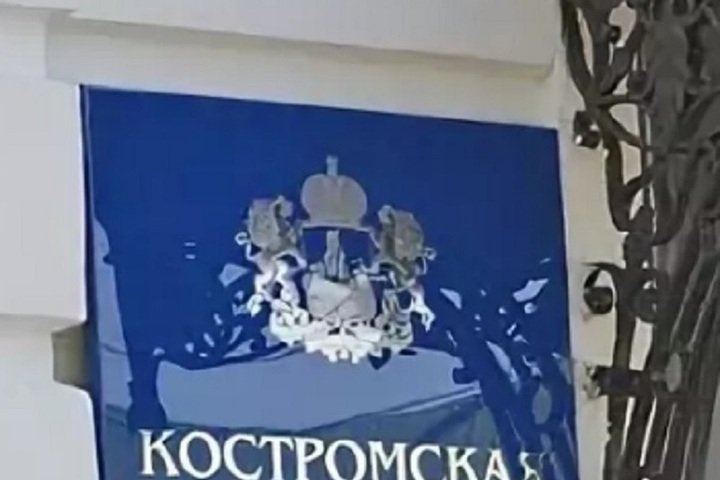 В Костроме возможность дистанционного электронного голосования закрепили законом