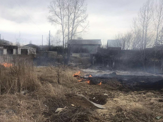 Во Владимирской области 139 раз поджигали сухую траву