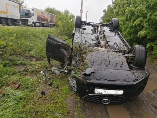 В Рамонском районе Воронежской области водитель выехал на встречную полосу и погиб