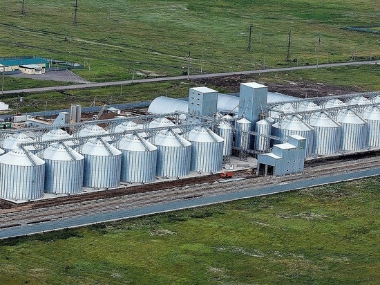 Россия призвала страны ЕАЭС ограничить экспорт зерна