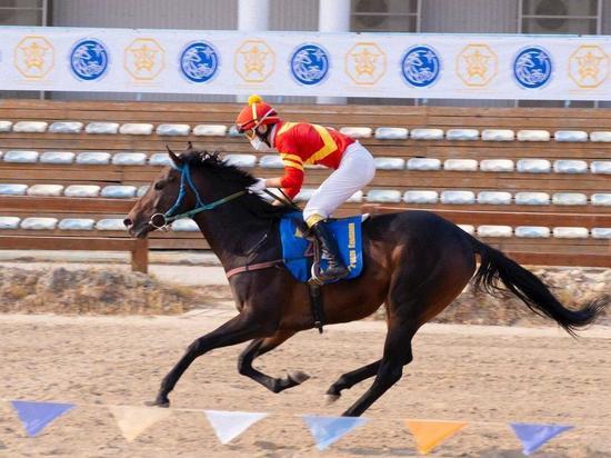 В Якутии состоятся соревнования по конному спорту