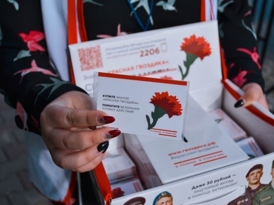 В Иванове проходит акция "Красная гвоздика"