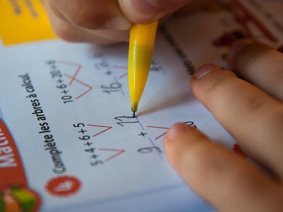 Липецкие девятиклассники сдают ОГЭ по математике