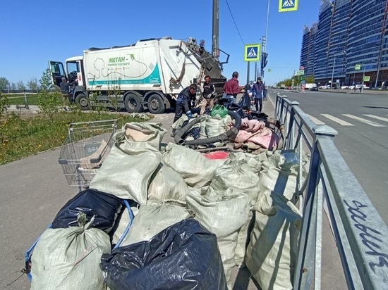 Волонтеры выгребли с берега Финского залива больше тонны отходов